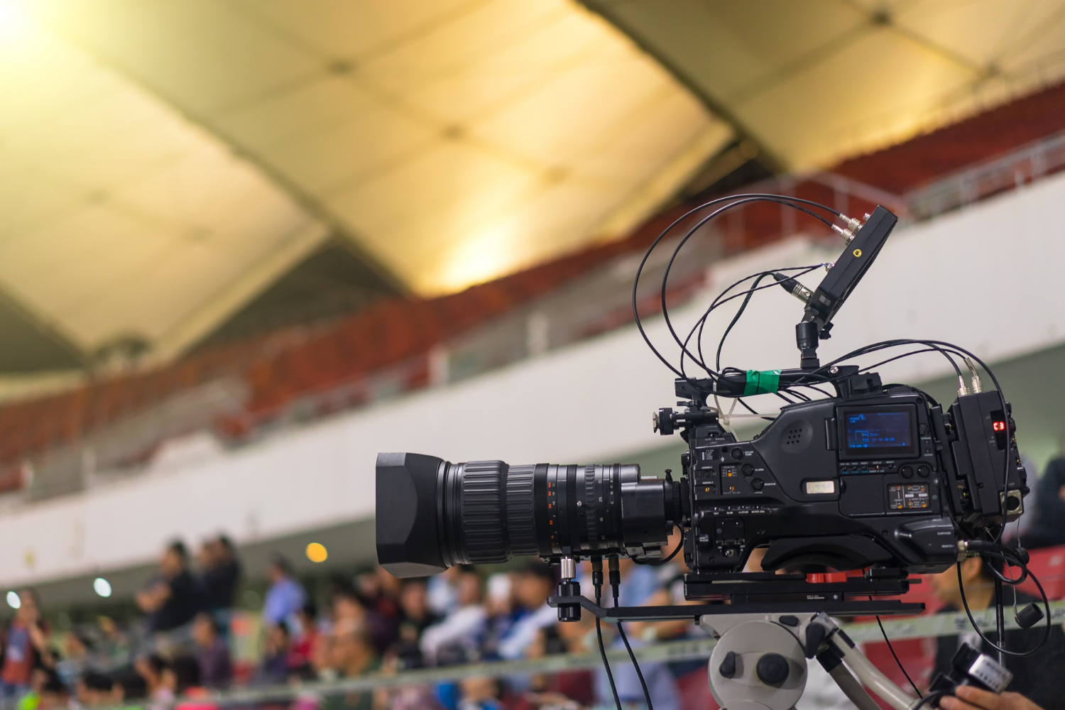 Photography and Videography